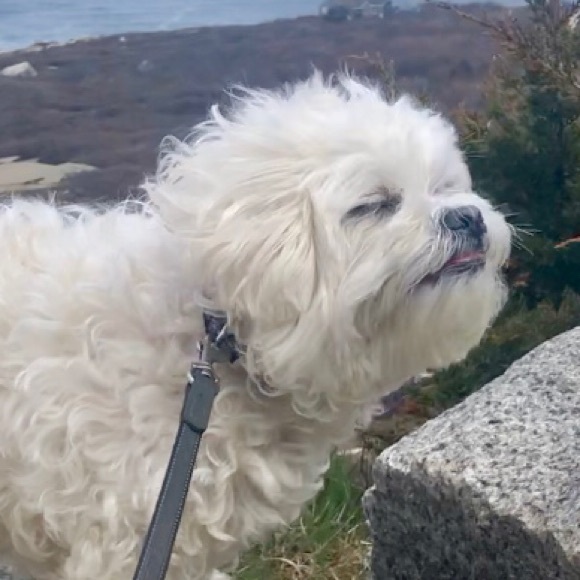 Meet your Posher, Caroline - Picture 1 of 1